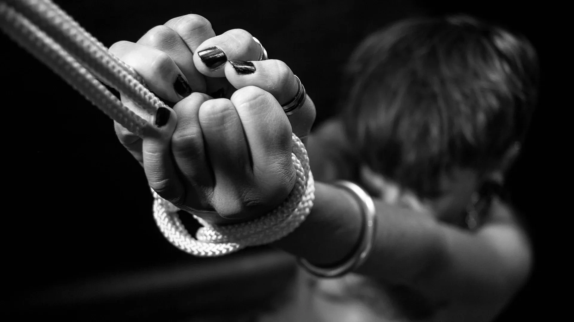 91樱花官网在线看